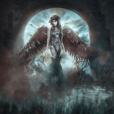 Dark Angel - Carte postale - Illustrations & Bijoux fantaisie ClairObscur Art